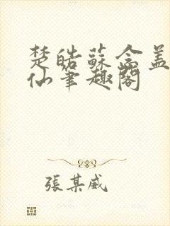楚皓苏念盖世医仙笔趣阁