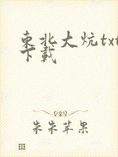 东北大炕txt下载