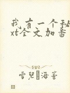 我有一个秘密txt全文加番外封面