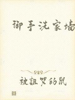 御手洗家墙壁破