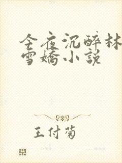 今夜沉醉林杰段雪娇小说