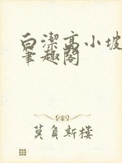 白洁高小坡高义笔趣阁