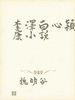 李泽白心颖陆伟康小说封面