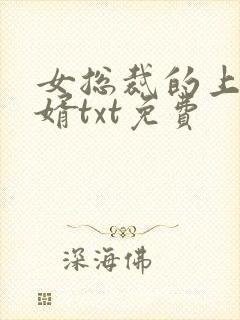 女总裁的上门女婿txt免费封面