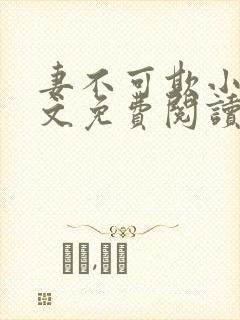 妻不可欺小说全文免费阅读