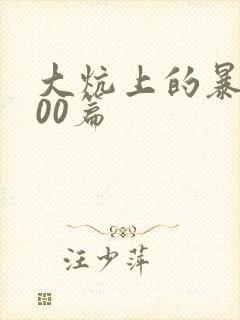 大炕上的暴伦500篇封面