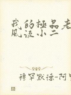 我的极品老婆们风流小二