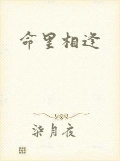 命里相逢
