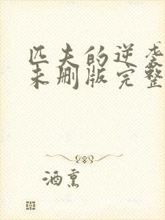 匹夫的逆袭小说未删版完整