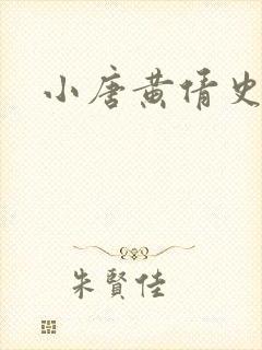 小唐黄倩史封面