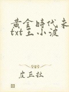黄金时代未删减txt王小波