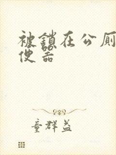 被锁在公厕当坐便器