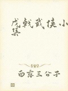 戊戟武侠小说全集