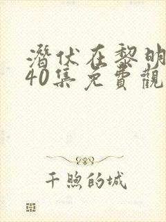 潜伏在黎明之前40集免费观看