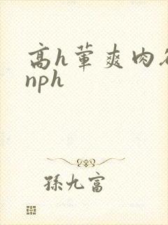 高h荤爽肉欲文nph
