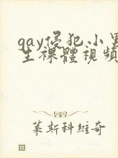 gay侵犯小男生裸体视频封面