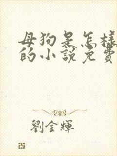母狗是怎样炼成的小说免费阅读
