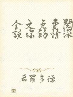 全文免费阅读小说你的情深我不配封面