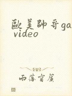 欧美帅哥gay video