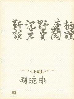 靳沉野唐栖雾小说免费阅读