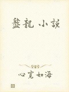 盘龙 小说