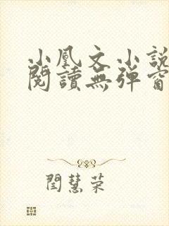 小凰文小说在线阅读无弹窗