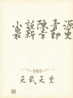 小说陈青源全文最新章节更新