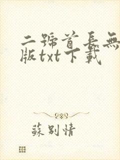 二号首长无删减版txt下载