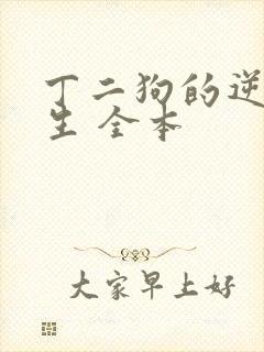 丁二狗的逆袭人生 全本