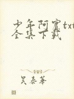少年阿宾txt全集下载