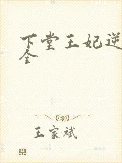 下堂王妃逆袭记全