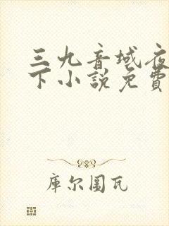 三九音域夜幕之下小说免费阅读