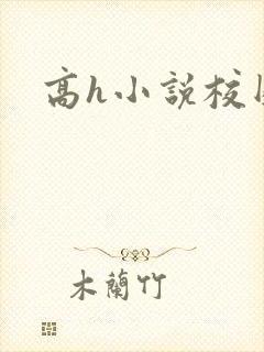 高h小说校园封面