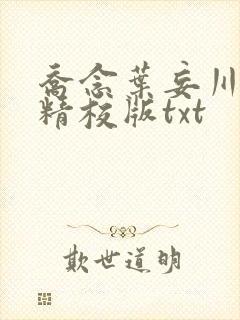 乔念叶妄川完整精校版txt