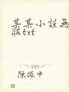 某某小说无删减版txt