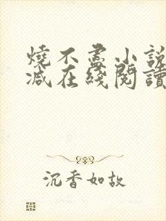 烧不尽小说无删减在线阅读
