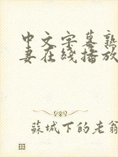 中文字幕熟女人妻在线播放