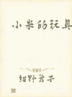 小米的玩具日记封面