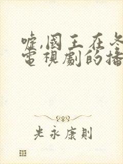 嘘,国王在冬眠电视剧的播出时间封面