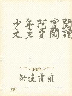 少年阿宾阅读全文免费阅读最新章节