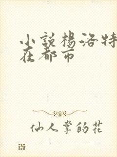 小说杨洛特种兵在都市