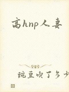 高hnp人妻