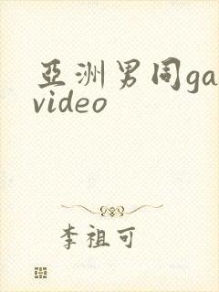 亚洲男同gayvideo