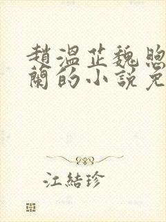 赵温芷魏煦窦凤兰的小说免费阅读