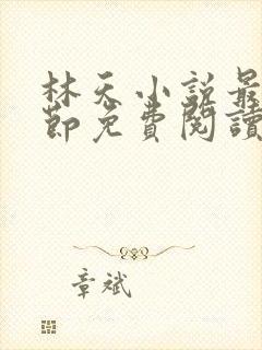 林天小说最新章节免费阅读全文