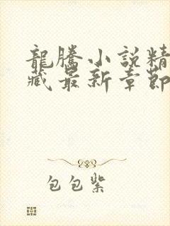 龙腾小说精选珍藏最新章节列表