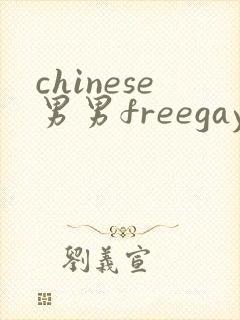 chinese男男freegay网站