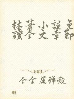 林萧小说免费阅读全文章节