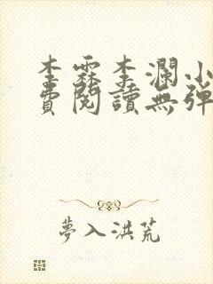 李霖李澜小说免费阅读无弹窗封面