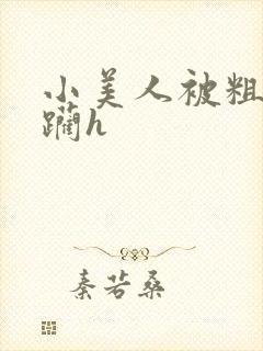 小美人被粗暴蹂躏h封面